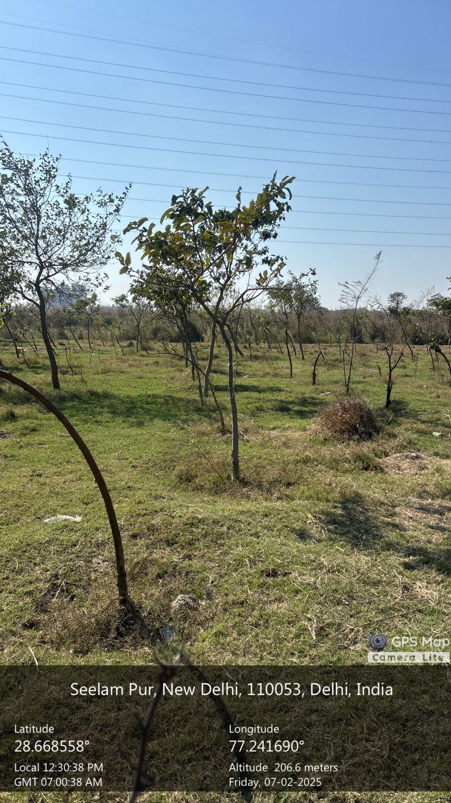 Compensatory Afforestation
